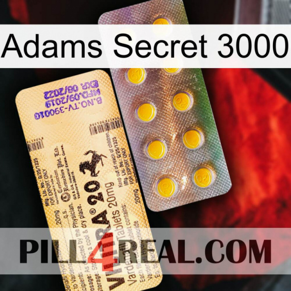 Adams Secret 3000 new06.jpg